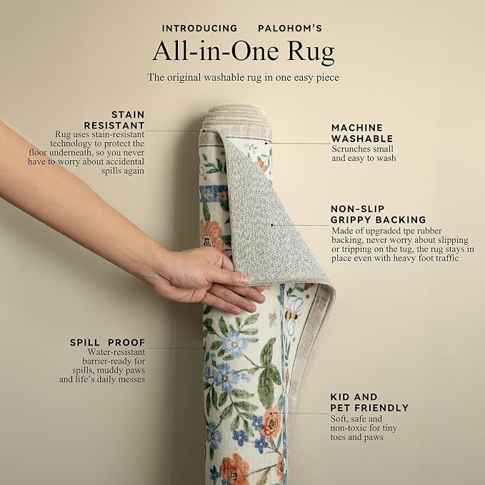 Machine Washable Area Rugs for Entryway: Door Mat Indoor Entrance 2x3 Small