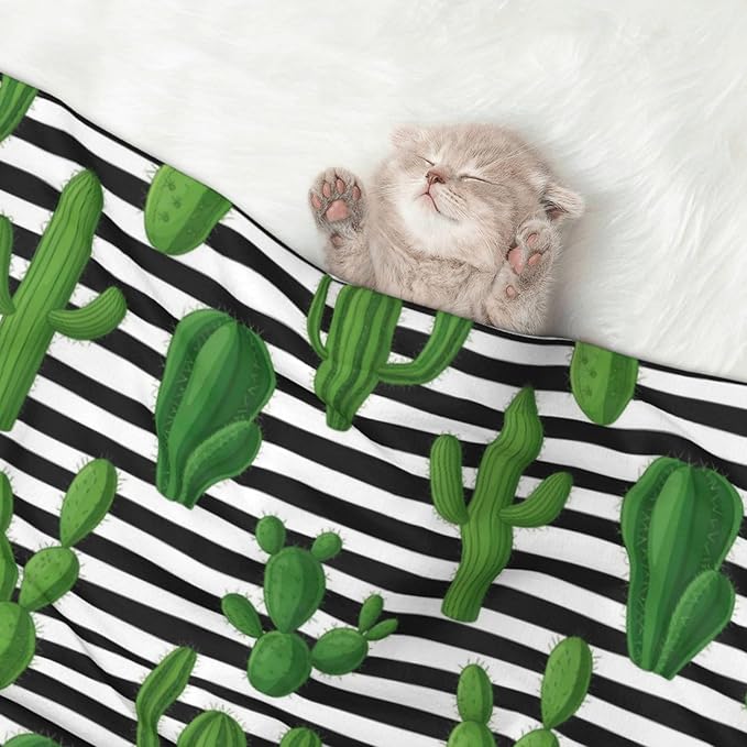 Two Sided Pet Cuddler Blanket for Anxiety Calming, Cactus and Stripes, Reversible Plush Design with Bubble Dot Pattern Provides Familiar Surface Anywhere
