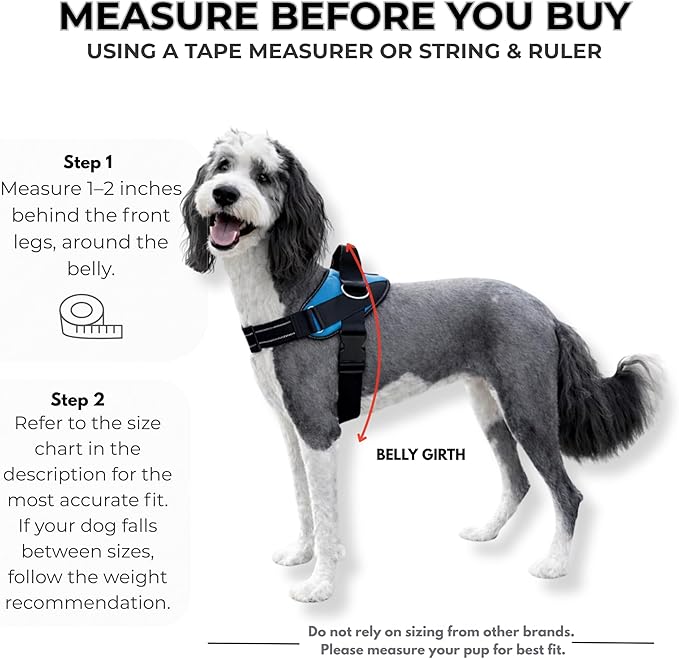 ShawnCo Essential Dog Harness, No-Pull Pet Vest with 3 Leash Clips, No Choke, Reflective, Adjustable and Padded, for Easy Walking and Training for Small, Medium and Large Dogs (Dark Camo, Medium)