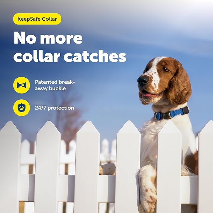 PetSafe KeepSafe Collar for Dogs - Protects Against Collar Accidents - Long Lasting - Durable - Adjustable - Breakaway - Outdoor-Safe - Small - 3/4 In. Wide - Blue