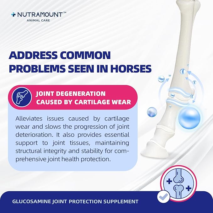 Glucosamine for Horses Joint Supplement for Horses Glucosamine Chondroitin Support Cartilage Health & Joint Mobility Horse Supplements 750g