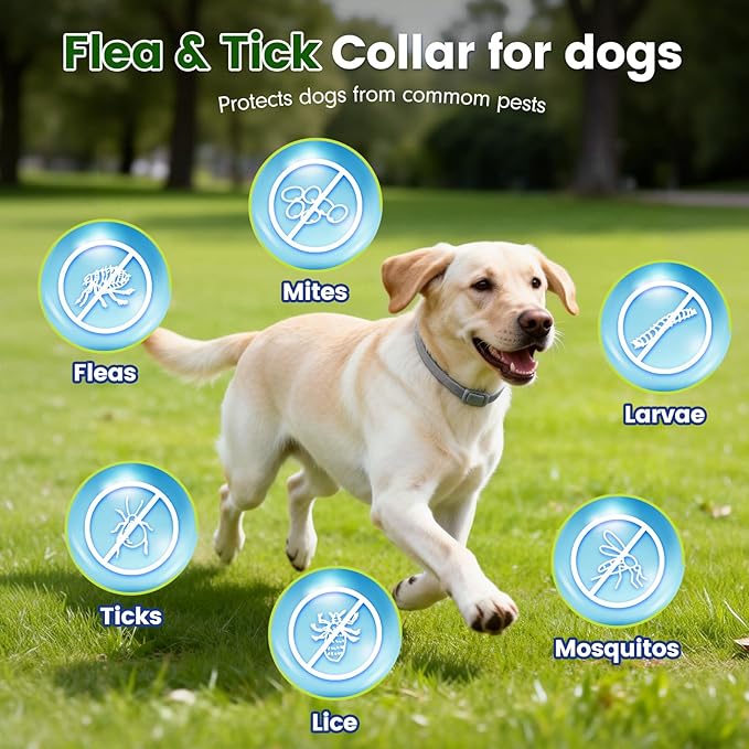 Flea and Tick Collar for Dogs, 4 Packs Flea Collar for Dogs with Natural Essential Oils, Waterproof & Adjustable Flea and Tick Prevention Collar for Small Medium Large Dogs & Puppies, Grey