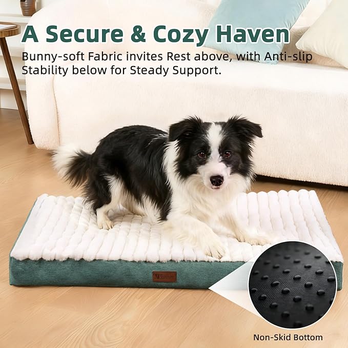 Orthopedic Dog Bed with Firm High-Density Egg Crate Foam,Soft Short Plush Surface Pet Beds,Machine Washable with Removable Cover & Non-Slip Bottom for Medium & Large Breeds (Green, 35"L x 22"W x 3"H)