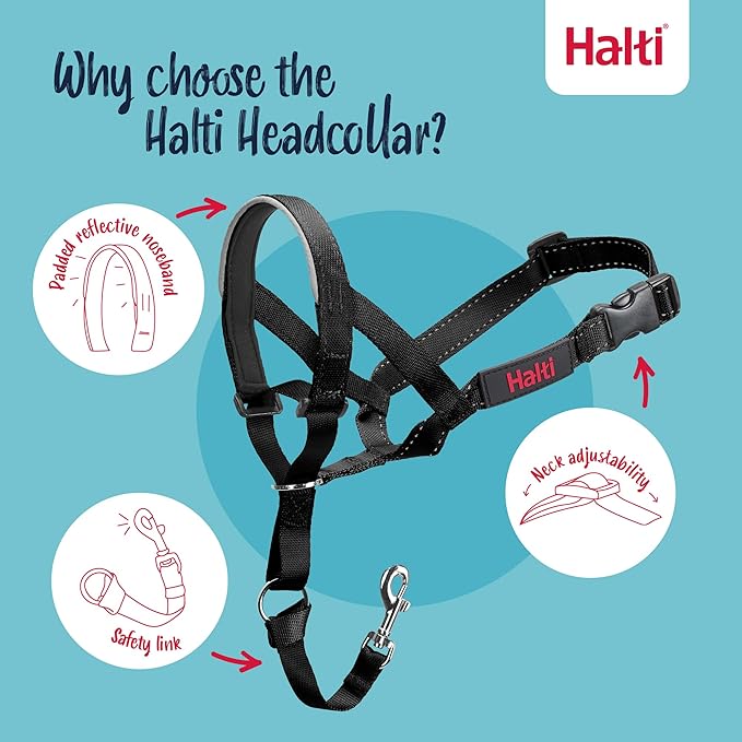 Halti Headcollar - Stop Your Dog Pulling on the Leash. Adjustable, Reflective and Lightweight, with Padded Nose Band. Dog Training Anti-Pull Collar for Large Dogs (Size 5, Black)