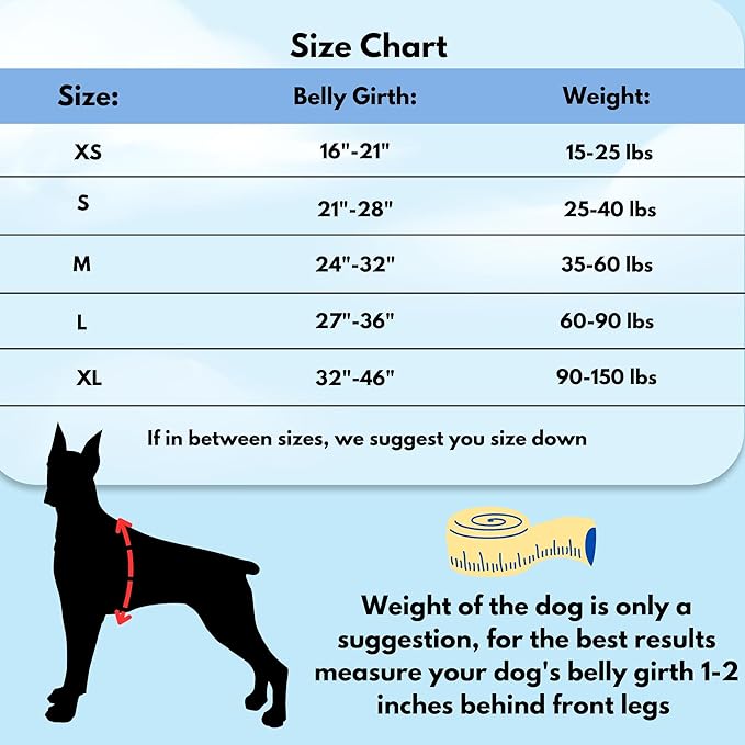 ShawnCo Dream Walk No-Pull Dog Harness- Adjustable, Comfortable, Easy to Use Pet Halter to Help Stop Pulling for Small, Medium and Large Dogs (Rose Gold, S)