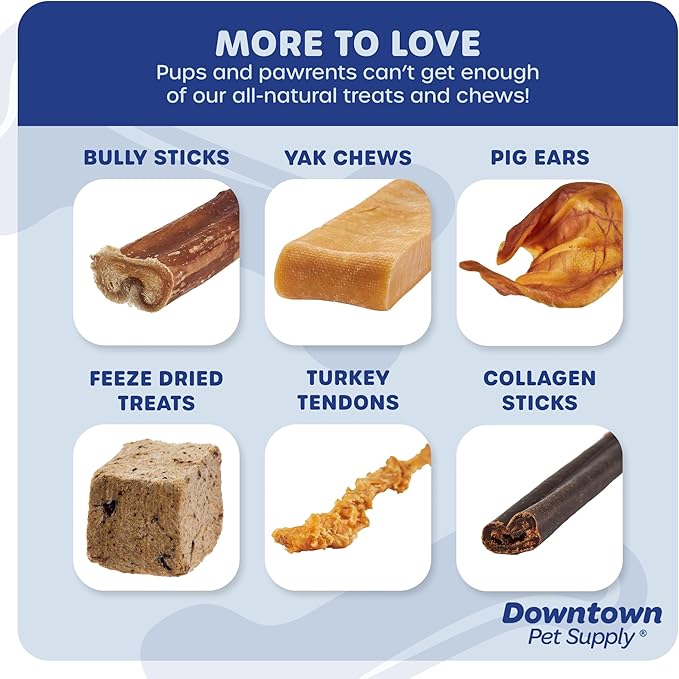 Downtown Pet Supply Jumbo Bully Sticks for Dogs - Natural Beef Chews, Low-Odor & Rawhide-Free, Long Lasting Dog Treats for Aggressive Chewers - Healthy, Safe & Delicious Chews Dogs Love (12" 5 Pack)