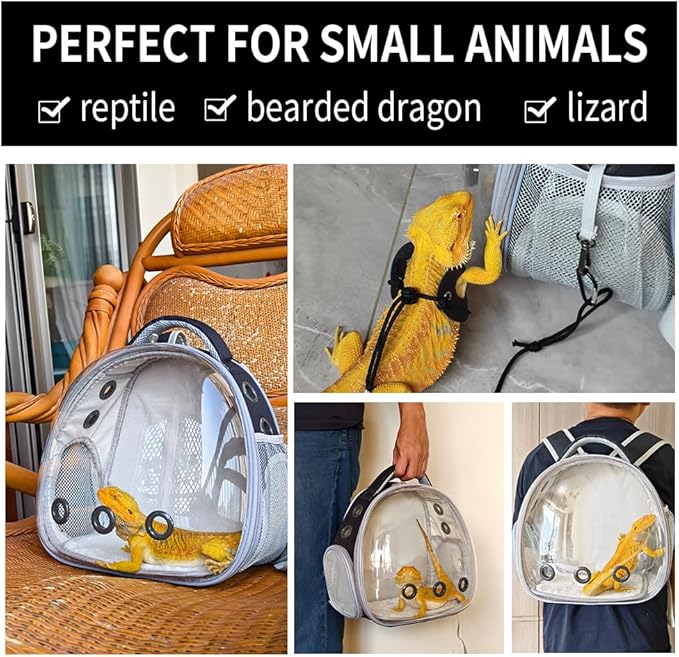 Bearded Dragon Lizard Backpack Carrier with Harness and Leash Set, Small Animal Carrier Backpack, Space Capsule Bubble Window Carrier Backpack, Airline Approved(Pink)
