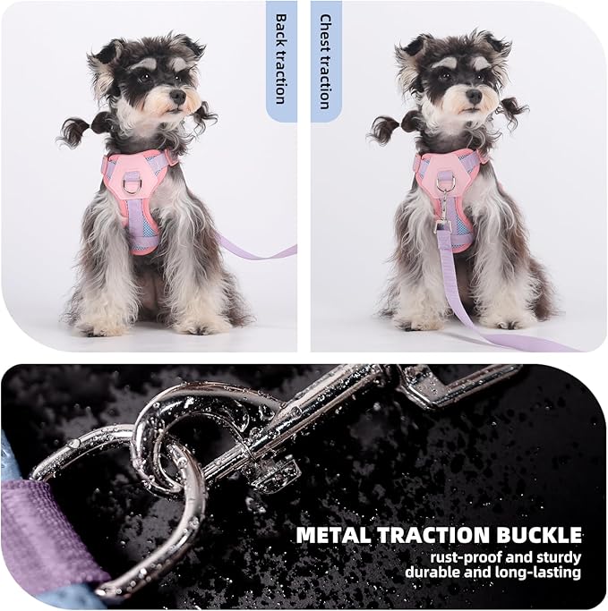 Small Dog Harness and Leash Set, Breathable Mesh Puppy Harness, Adjustable Dog Harness for Small Medium Large Dogs, No-Pull Pet Harness for Daily Walking (Blue, Large)