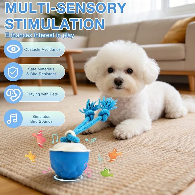 Interactive Dog Ball Toy (3.35x2.76in), 2026 Upgraded Automatic Rolling Ball with 3 Modes, USB Rechargeable, Smart Motion Pet Ball, for Small Medium Large Dogs Indoor Outdoor Play (Orange)