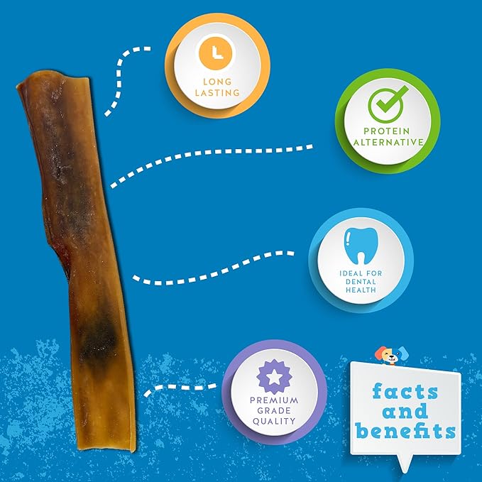 Jack&Pup Camel Skin Dog Chews for Aggressive Chewers Large - 2 ct – Hypoallergenic Collagen Sticks, Rawhide Free Single-Ingredient Collagen Chew Treats for Sensitive Stomach Dogs, Long Lasting Chews