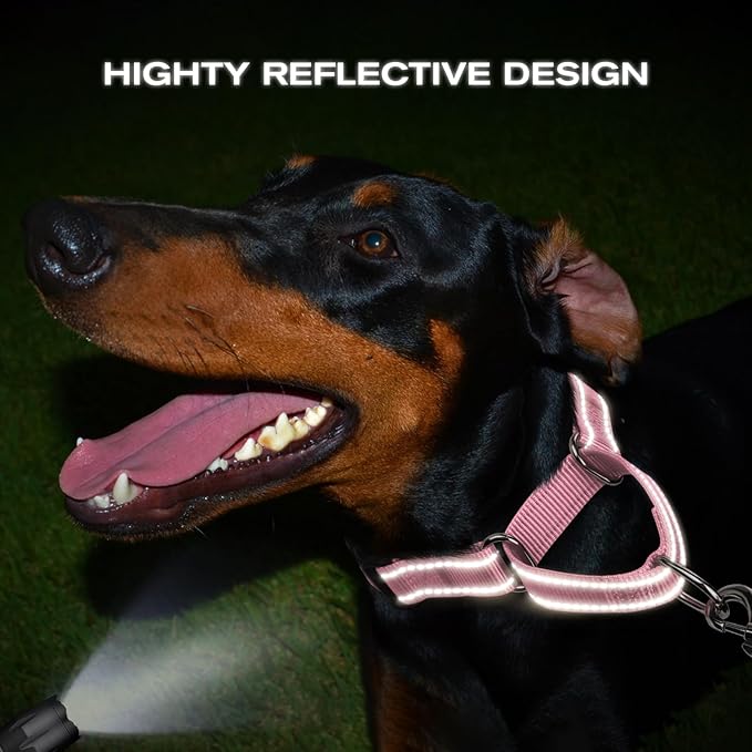 Joytale Martingale Collar for Dogs, Reflective Heavy Duty for Safety, Quick Release Buckle, Adjustable Nylon Collars for Puppy and XSmall Dogs Walking Training, Pink, XS
