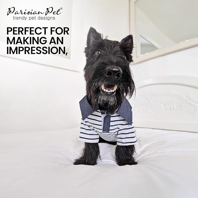 Parisian Pet Preppy Boy Polo Dog Shirt – Puppy Outfits – 100% Cotton Doggie Clothes – Cute Machine Washable Puppy Apparel - Dog Shirts for Large Dogs L