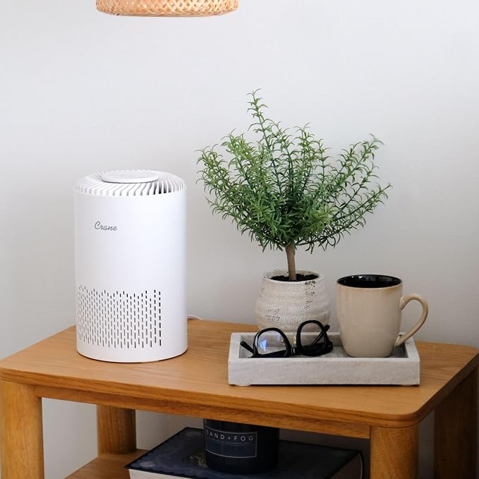 Crane True HEPA Air Purifier for Home, and Dorm Room, Bedroom Essentials