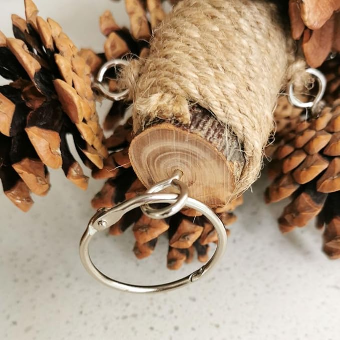 Parrot Toys Natural Pine Cones Bird Chew Toys Hanging Chewing Sticks Toys Bird Cage Toys for Conures Parakeets Cockatoo Cockatiel (with 8 Pinecones)