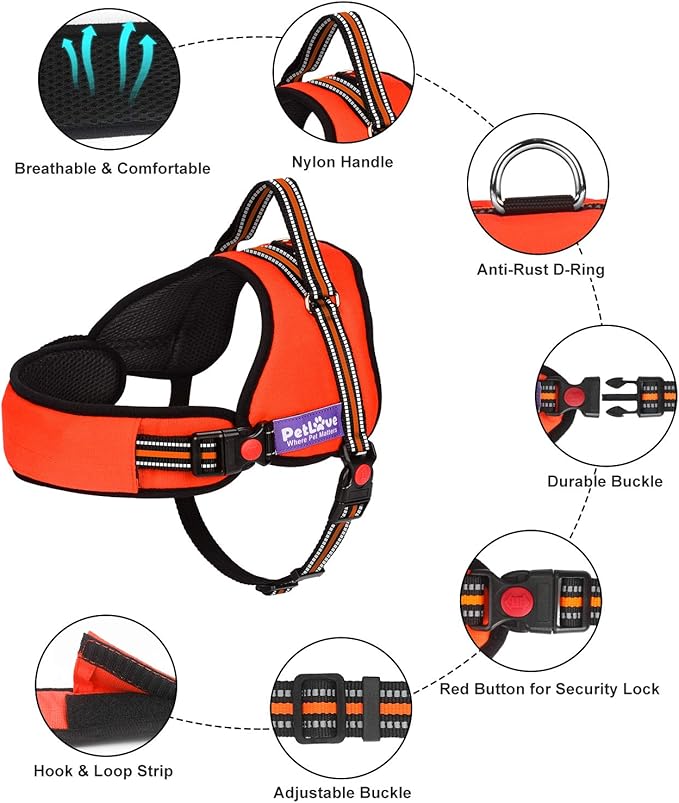 PetLove Dog Harness, Adjustable Soft Leash Padded No Pull Dog Harness for Small Medium Large Dogs, Orange