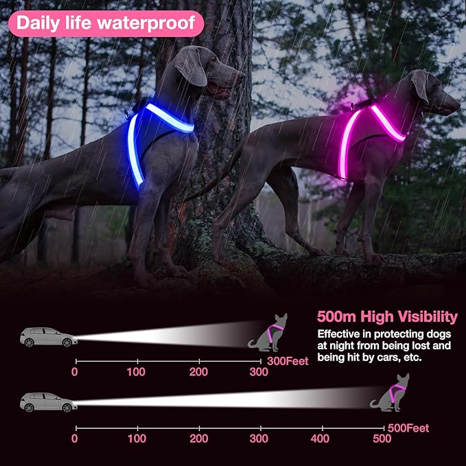 ChalkLit Light Up Dog Harness, No Pull Led Dog Harness Glow-in-The-Dark for Night Walking, USB Rechargeable Lighted Safety Vest for Small Dogs, Adjustable Soft Mesh Fully Illuminated (Pink, Small)
