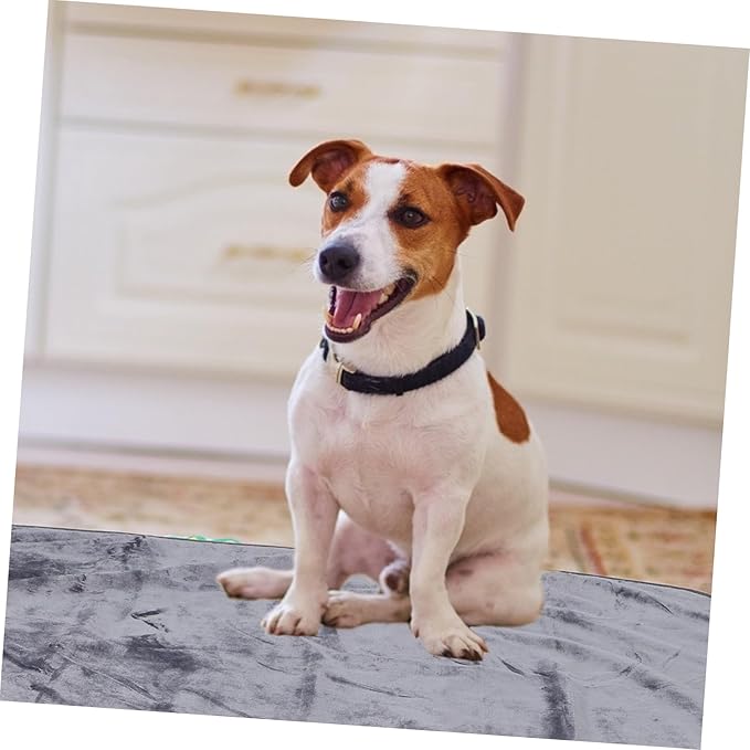POPETPOP Waterproof PET Blanket for Dogs and Cats Soft Washable Dog Bed Cover 100x75cm Thick Furry Blanket Sofa Protector for Pets for Furniture and Travel