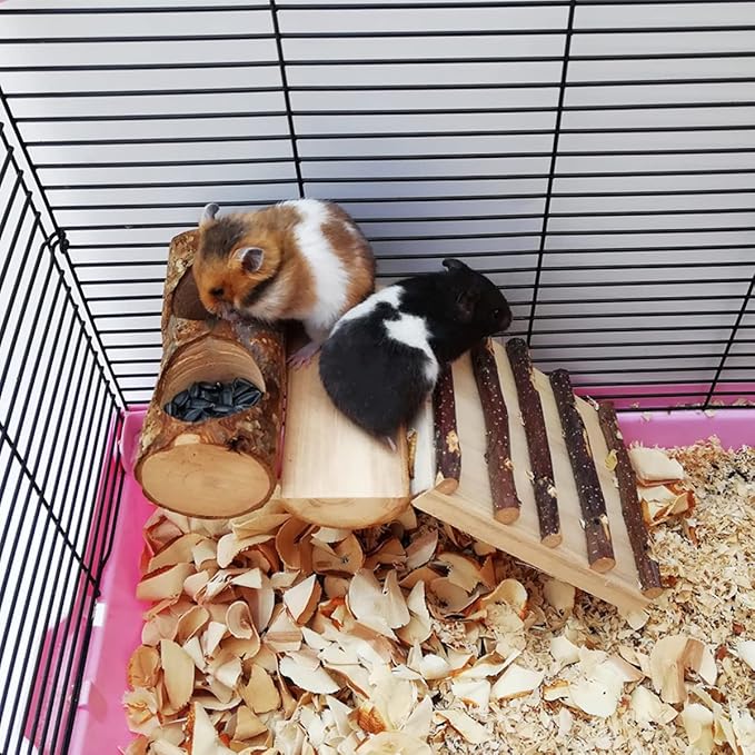 Apple Wood Feeding Bowl for Small Animals, Food Dish for Guinea Pig, Chinchilla Parrots