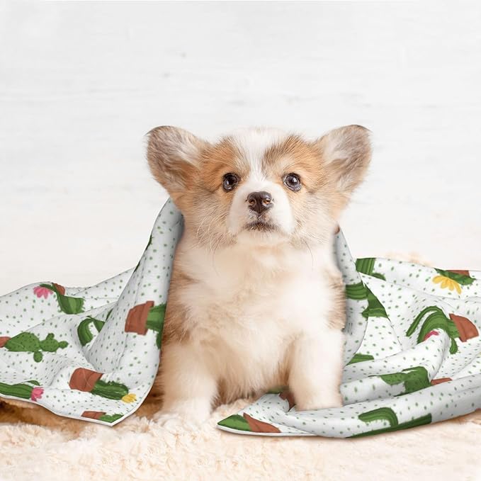 Two Sided Pet Cuddler Blanket for Anxiety Calming, Cactus Floral Bloom Flower Summer Tropical Watercolor, Reversible Plush Design with Bubble Dot Pattern Provides Familiar Surface Anywhere