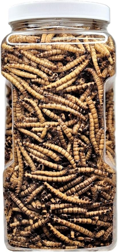 Aquatic Foods Inc. Superworms- Freeze Dried Superworms for Tropical Fish, Reptiles, Turtles, Tortoises, Frogs, Hamsters, Birds, Rodents…8oz Med Jar