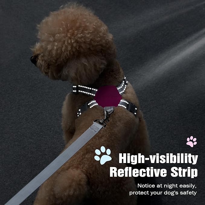 Pawaboo Small Dog Harness and Leash Set, Puppy Harness X-Frame No Pull No Choke, Dog Vest Harness Adjustable for Small Medium Sized Dogs, Soft Breathable Pet Harness for Walking Outing, M, Magenta