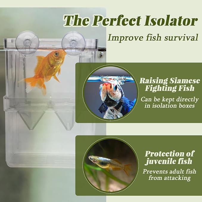 2 Pieces Floating Fish Breeder Box for Aquarium Divider, Transparent Fish Isolation Breeding Box with Suction Cups, Shrimp Tank Hatchery Fry Incubator for Clownfish Betta Guppy Acclimation
