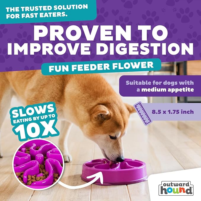 Outward Hound Fun Feeder Slo Bowl – Medium 2‑Cup Capacity, Slow Feeding