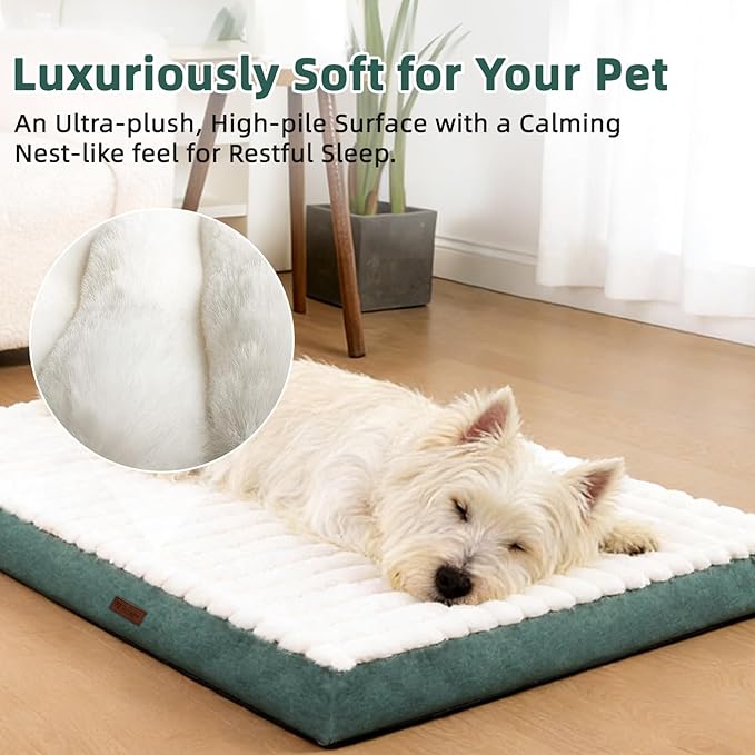 Orthopedic Dog Bed with Firm High-Density Egg Crate Foam,Soft Short Plush Surface Pet Beds,Machine Washable with Removable Cover & Non-Slip Bottom for Medium & Large Breeds (Green, 35"L x 22"W x 3"H)