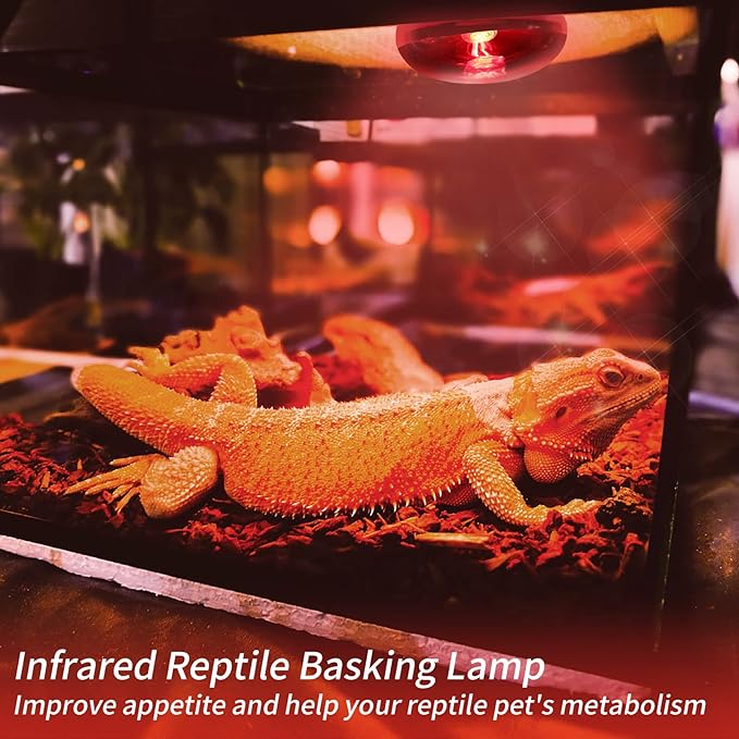 Infrared Reptile Heat Lamp Bulbs,2 PCS 50W Reptiles & Amphibians Infrared Basking Spot Lamp Bulb, Red Heat Emitter Light for Chickens Coop