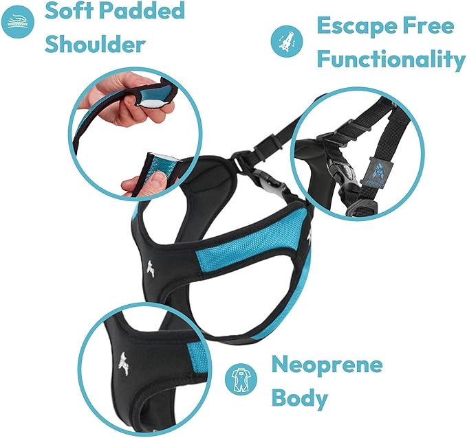 Gooby Escape Free Easy Fit Harness - Turquoise, Large - No Pull Step-in Patented Small Dog Harness with Quick Release Buckle - Perfect On The Go No Pull Harness for Small Dogs or Medium Dog Harness