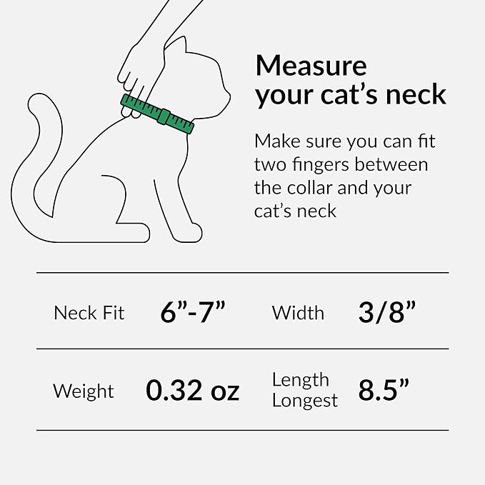 CollarDirect Leather Cat Collar, Cat Safety Collar with Elastic Strap, Kitten Collar with Bell Black Blue Red Orange Lime Green (6-7 Inch, Red)