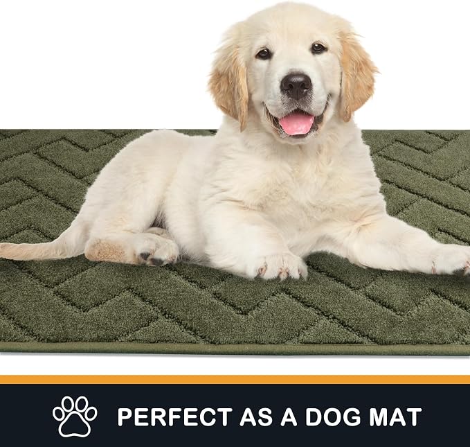 PURRUGS Dirt Trapping Door Mat 32" x 70", Non-Slip Machine Washable Entry Rug