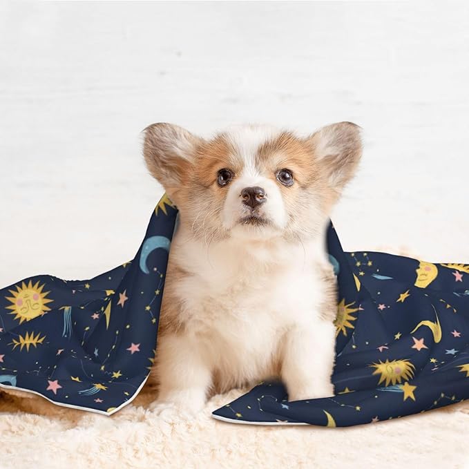 Double Sided Pet Throw for Dogs Who Shed, Colorful Stars, Reversible Blanket with Nubby Dot Side Catches Loose Fur for Easier Furniture Cleanup