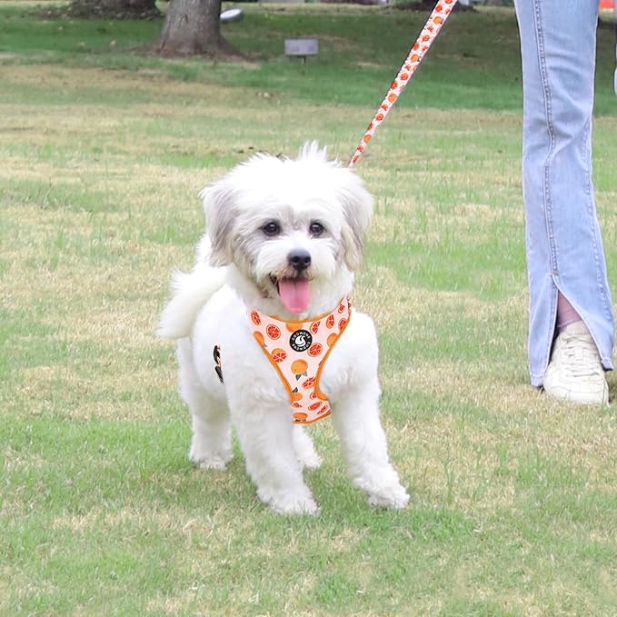 Dog Cat Harness and Leash Set, Puppia Soft Mesh Padded and Adjustable Puppy Vest Cute Dog Clothes Escape Proof Easy Walk Pet Accessories (Grapefruit, M (Neck 13.4"-16.5"; Chest 17.7"-23"))