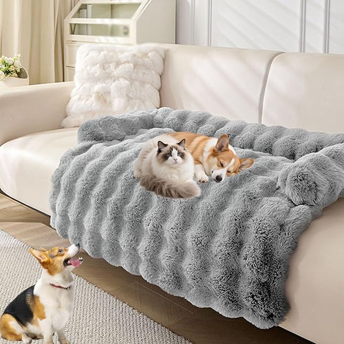 Dream Cloud Pet Sofa Bed, Dream Cloud Pet Sofa Bed Cover, Cozy Rabbit-Velvet Non-Slip Washable Fluffy Plush Pet Mat for Furniture Protection, Soft Couch Bed for Dogs & Cats (Gray, 70X70 CM)