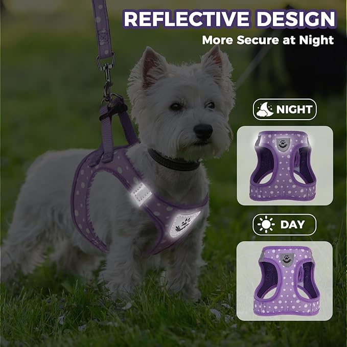 PAWCHIE Dog Harness and Leash Set, Step in No Pull Soft Pet Harness, Reflective Adjustable Puppy Vest for Small Medium Dogs Cats,No Choke Harness Vest with Poop Bag Holder for Walking,Running,Purple S
