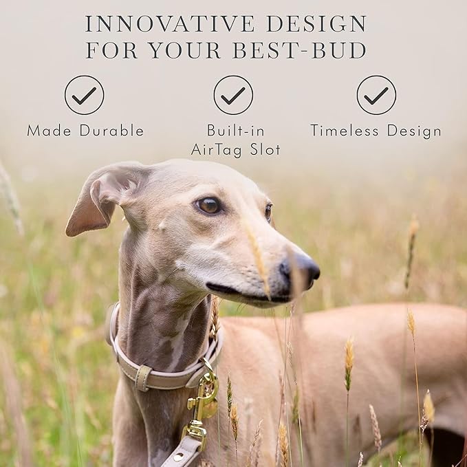 Cupertino Dog Collars, Harnesses & Leashes Made from Vegan Leather with Dog Tracker Device Holder Adjustable Dog Collar (Medium, Beige)