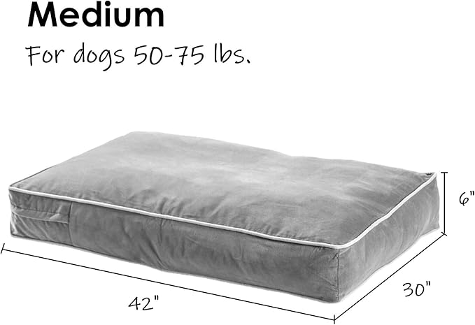 Charlie Rectangle Indoor/Outdoor Pillow Style Dog Bed, Navy, Medium (30" x 42")