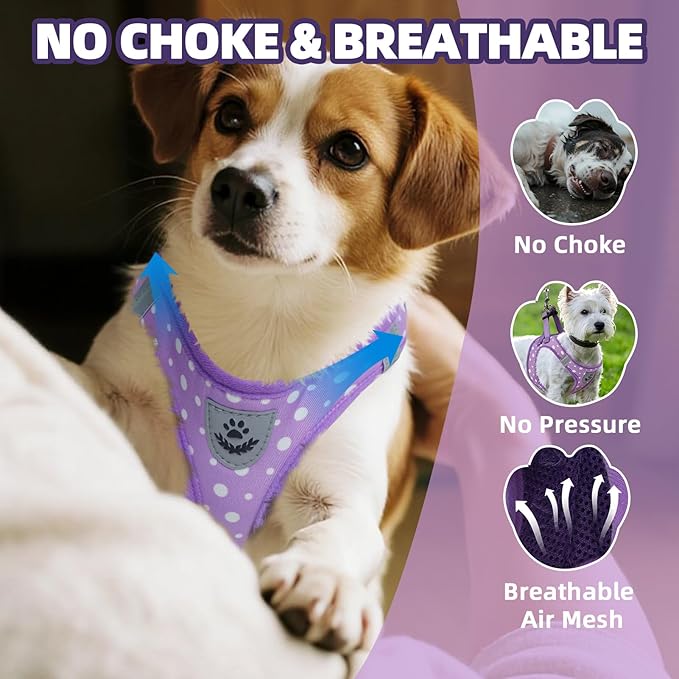 PAWCHIE Dog Harness and Leash Set, Step in No Pull Soft Pet Harness, Reflective Adjustable Puppy Vest for Small Medium Dogs Cats,No Choke Harness Vest with Poop Bag Holder for Walking,Running,Purple S