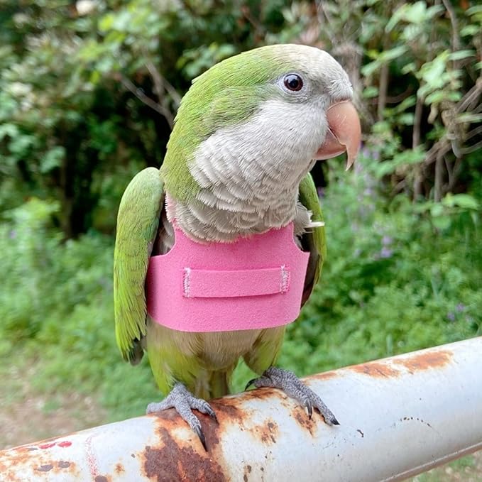 Bird Flight Harness Vest, Parrot Flight Suit with Leash for Parakeets Cockatiels Conures Budgies, Bird Flying Clothes with Rope and Handle for Outdoor Activities Training (S, Pink)