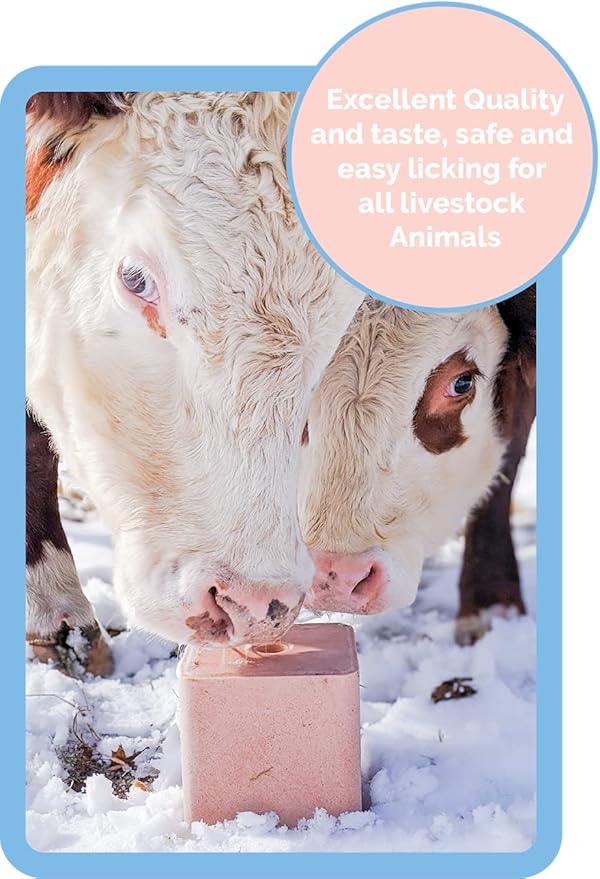 Himalayan Secrets Compressed Pink Salt Lick for Livestock and Wildlife Animals, Pure & Natural Feed Salt Block, Minerals & Trace Elements, No Additives, 5.5LB (2.5KG)