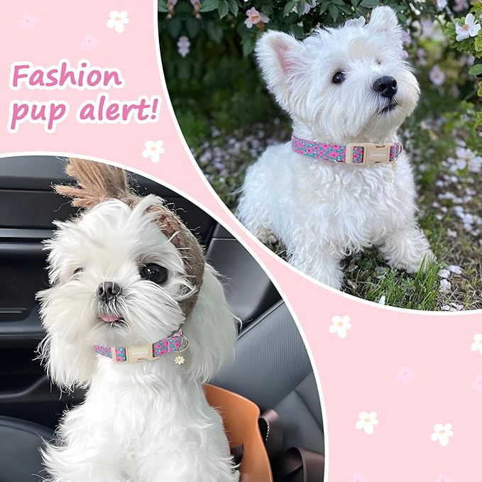 Cotton Floral Dog Collar,Green Dog Collar with Pink Flower, Adjustable Puppy Dog Collars for Small Medium Large, Cute Girl or Boy Dog Collar Ideal for Gifts,Pet Accessory,M