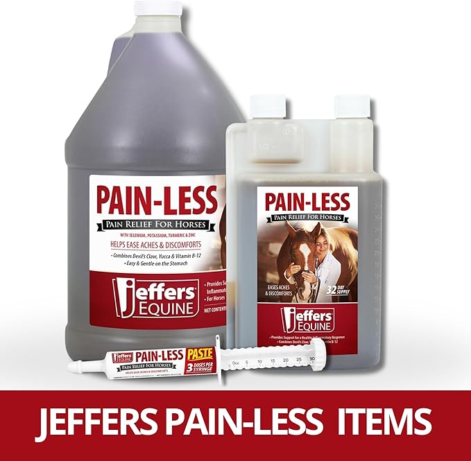 Jeffers Equine Pain-Less Vitamin Formula for Horses – 32 oz Supplement – Support Healthy Inflammatory Response, Comfort – Devil’s Claw, Yucca, and Vitamin B-12 – Gentle on Stomach – Made in The USA