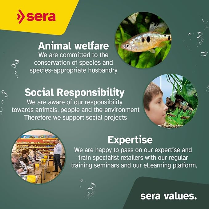 sera Koi Professional Spring & Fall Food 4.86 lb/2200 g | Floating Pellets for Immune Support & Condition | for Temperatures Below 63°F | Enriched with Vitamins & Omega Fatty Acids