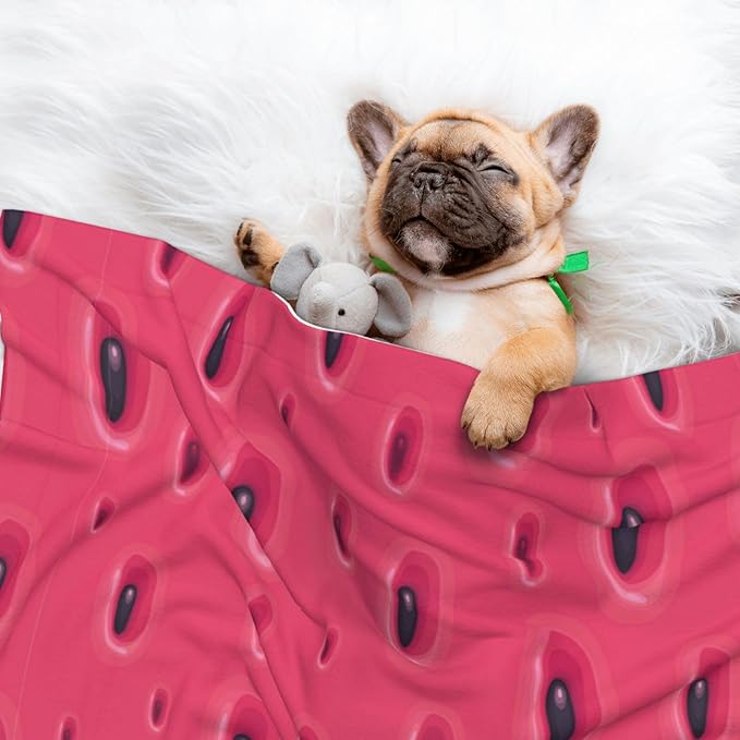 Dog and Cat Blanket in One, Pink Watermelon, Double Sided Plush Throw with Raised Dot Pattern on One Side and Flat Velvet on Other for Variety