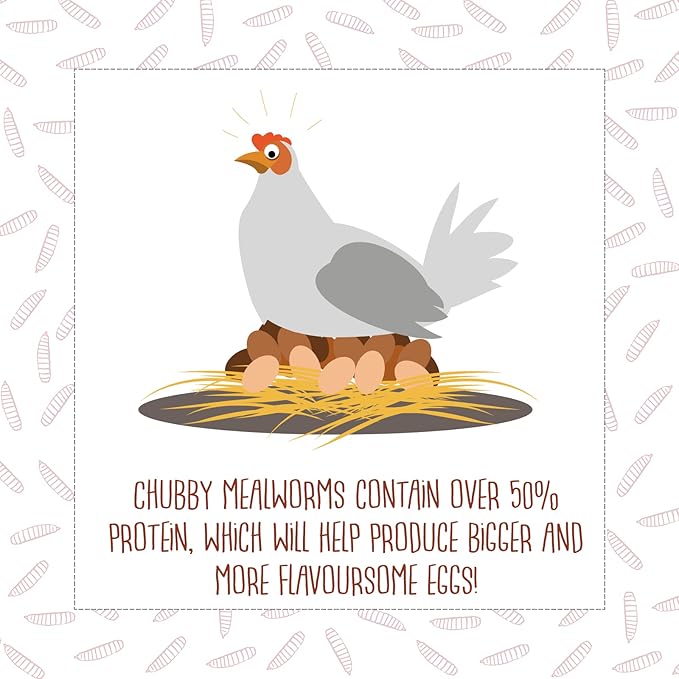 Chubby Mealworms 10Lb Bulk Dried Mealworms for Chickens, Birds, Ducks and Much More