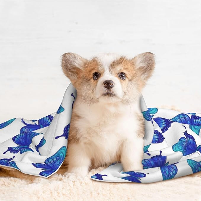 Double Sided Plush Pet Blanket with Cozy Dot Texture and Smooth Reverse, Butterflies Blue Purple, Reversible Throw for Dogs Cats on Couches Beds Crates