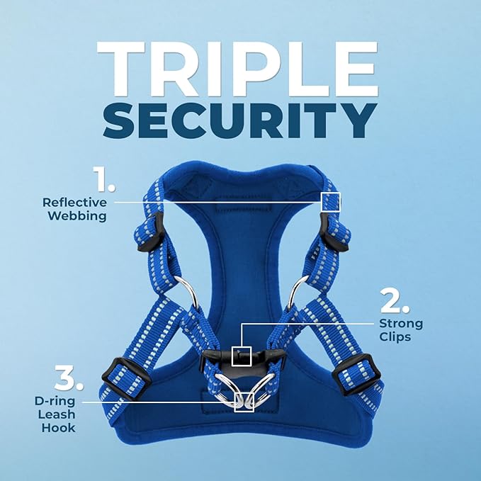 Best Pet Supplies Voyager Adjustable Step-in Flex Breathable Mesh Dog Harness for Small Medium Large Dogs Leash Set (Royal Blue), XS