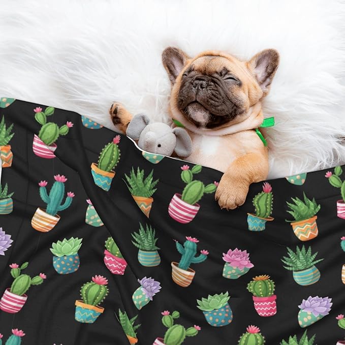 Reversible Pet Blanket for Sofa Protection Pet Comfort, Succulent Cactus Potted Plants, Double Sided Design with Cozy Nubby Nap Side and Durable Smooth Play Side