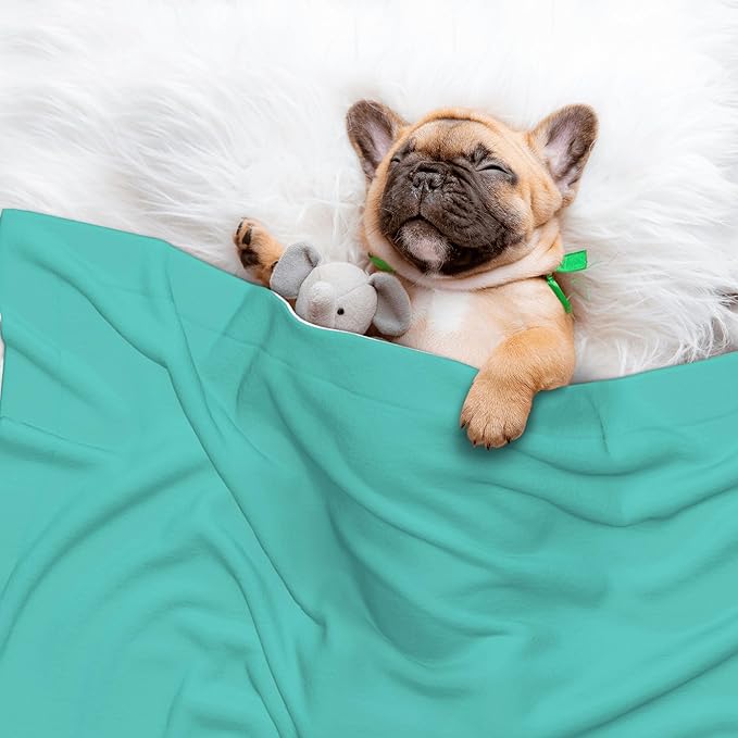 Waterproof Dog Blanket Soft Pet Blanket for Puppy Cat, Fleece Cat Throw Blankets for Furniture Bed Couch Sofa Reversible - Teal Turquoise 1